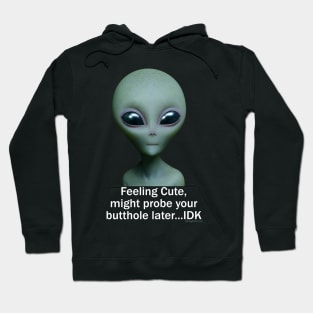 Feeling Cute, might probe your butthole...IDK Hoodie